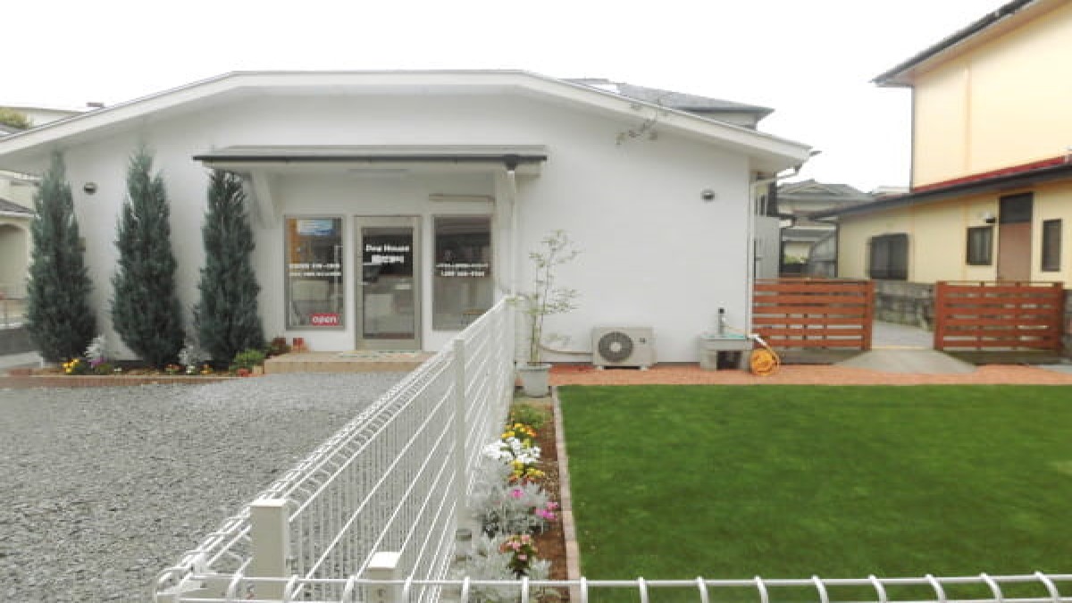 Dog House 陽だまり