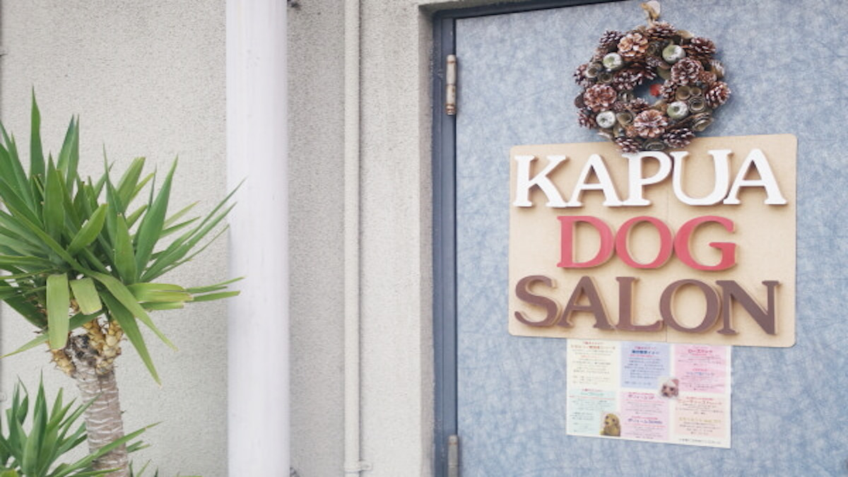 KAPUA ~Dog Salon & Beauty~