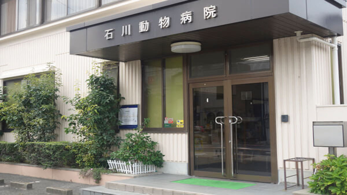 石川動物病院(トリミング)