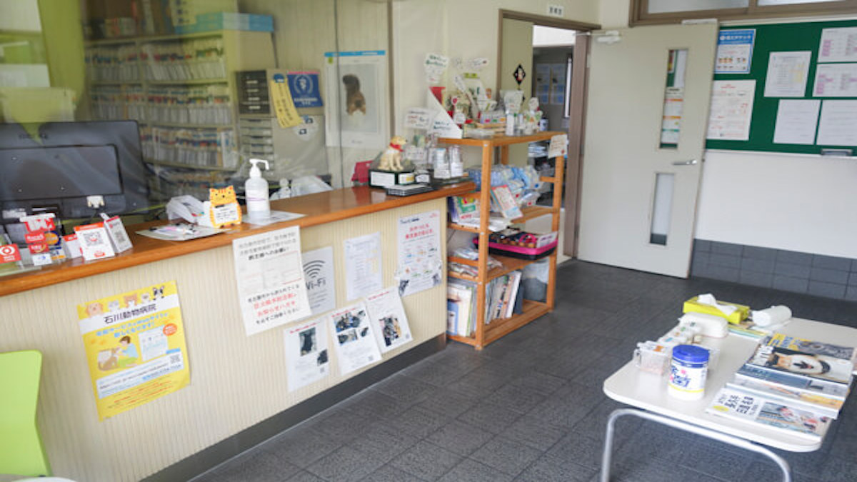 石川動物病院(トリミング)