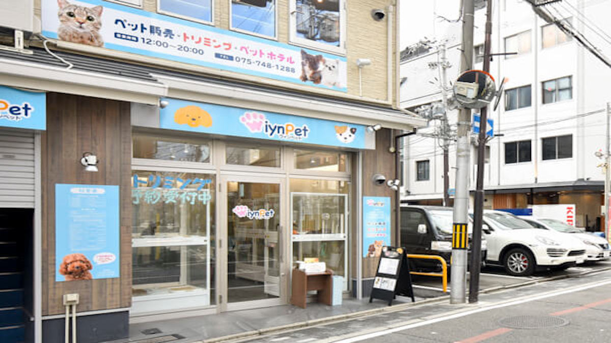 WIYNペット 京都祇園店