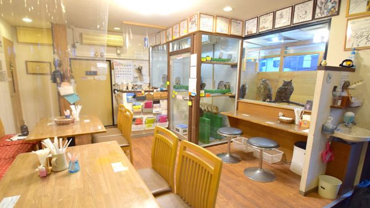 ふくろう茶房