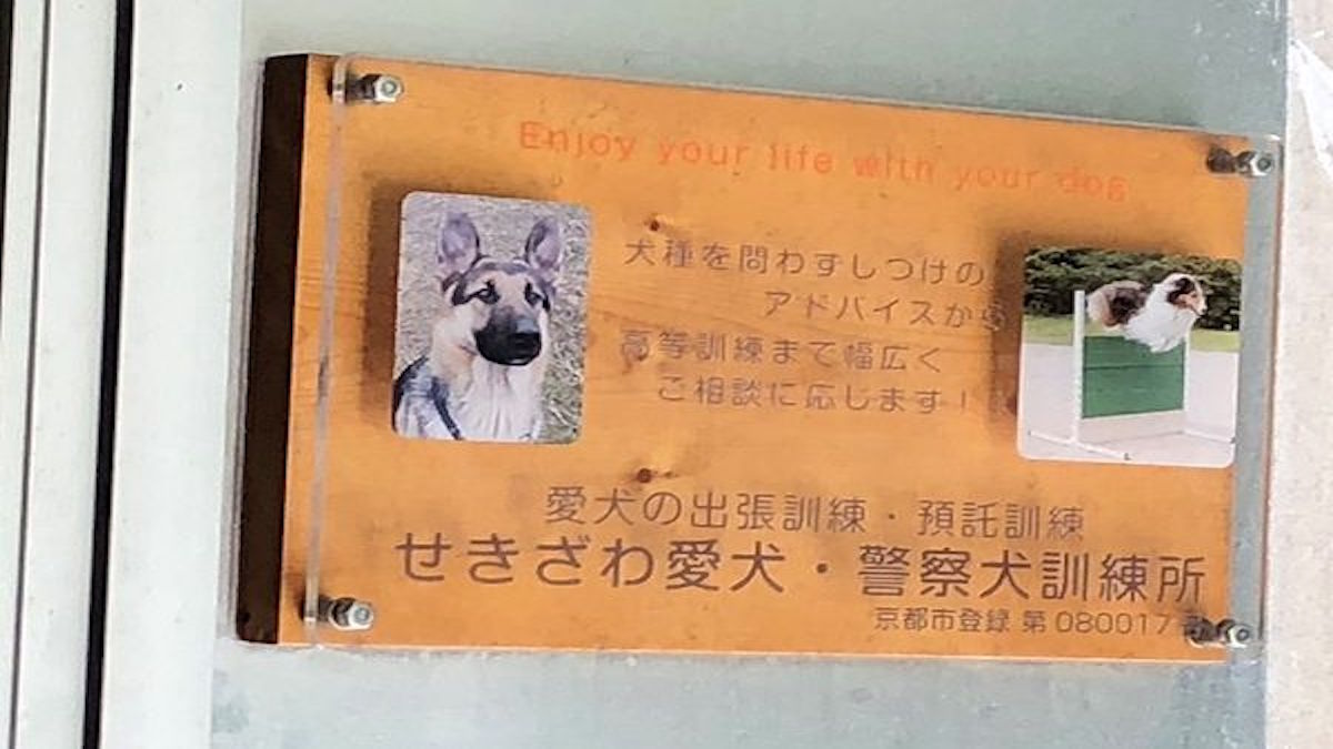 せきざわ愛犬・警察犬訓練所
