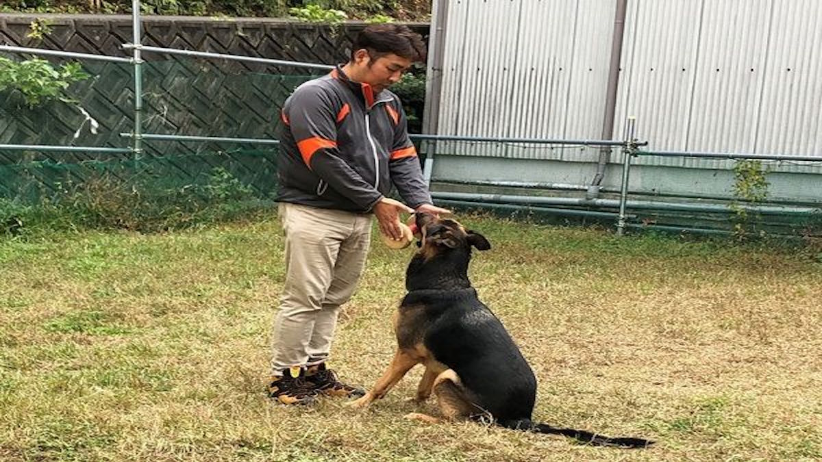 せきざわ愛犬・警察犬訓練所