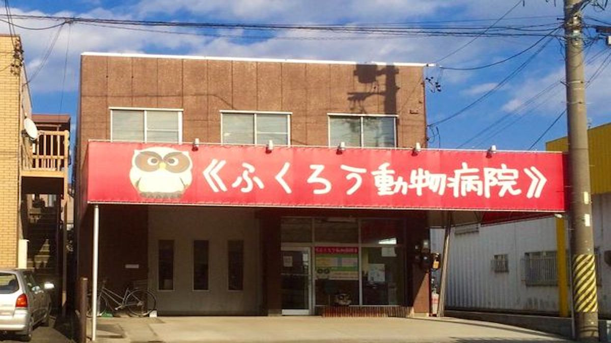 ふくろう動物病院