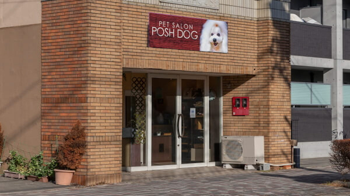PETSALON POSH DOG