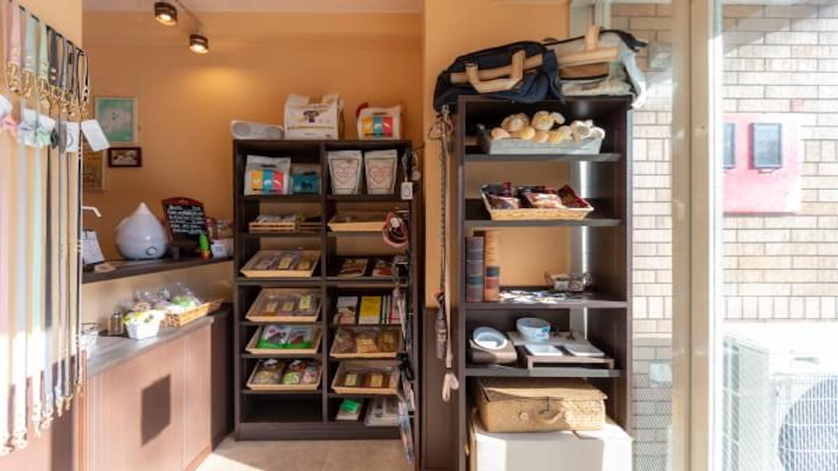 PETSALON POSH DOG