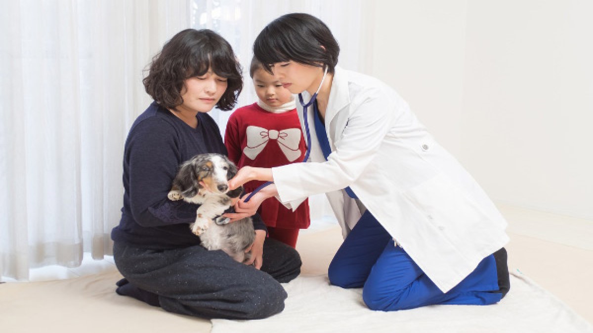 OurPetsどうぶつ診療所