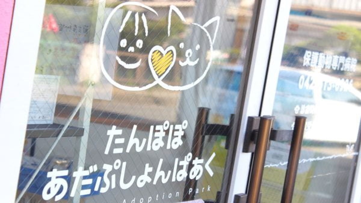 たんぽぽあだぷしょんぱぁく