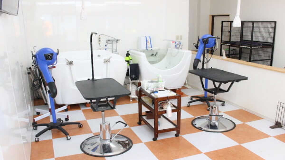 Trimming Salon Adonis 二本松店