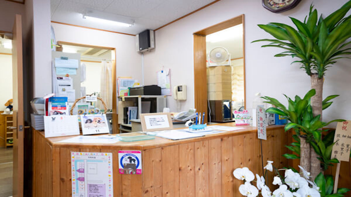 dogsalon mignon(ミニヨン)