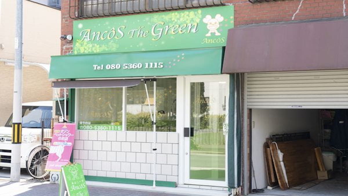 AncôS The green