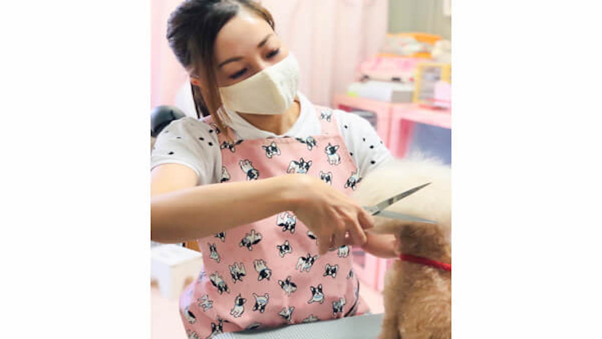ドッグサロン cute