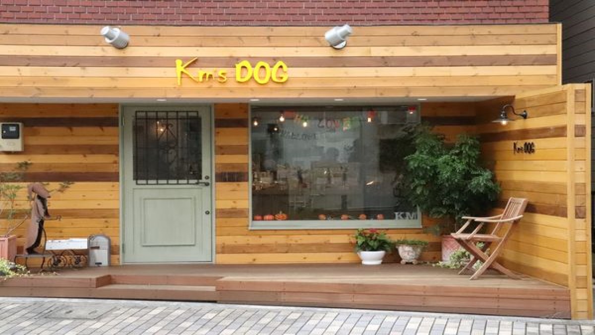 Km's DOG