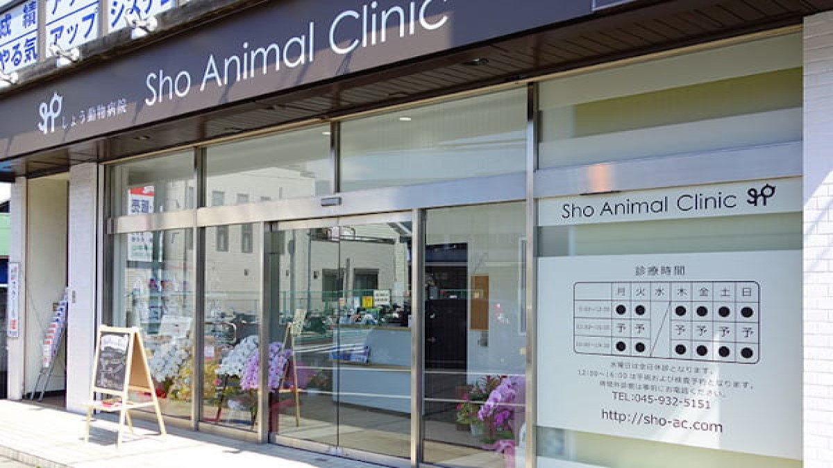 Sho Animal Clinic