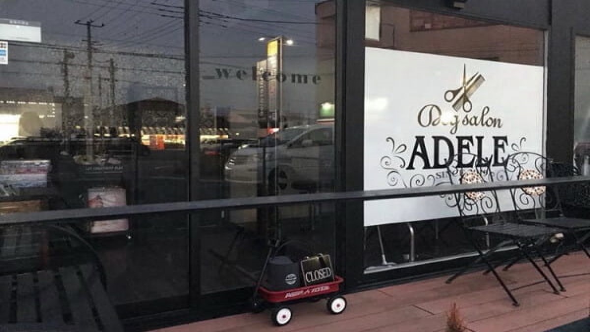 Dog salon ADELE