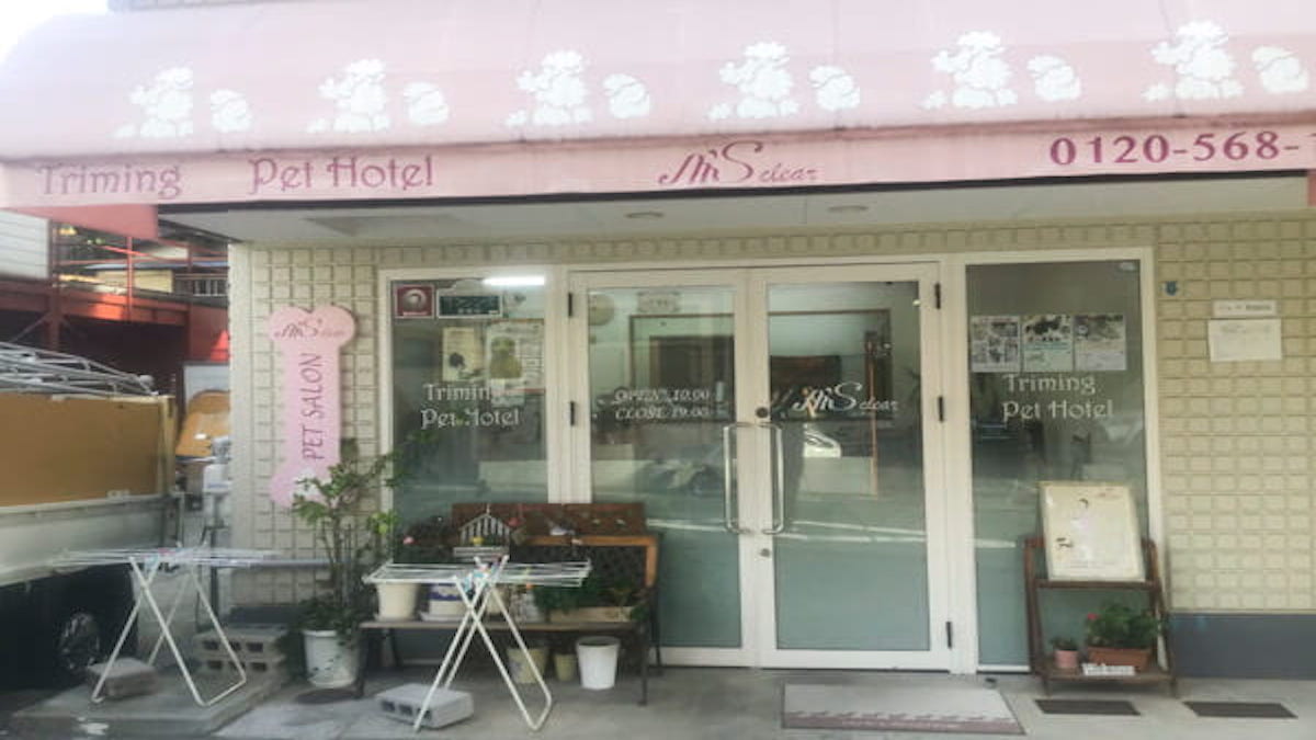 petsalon M’Sclear