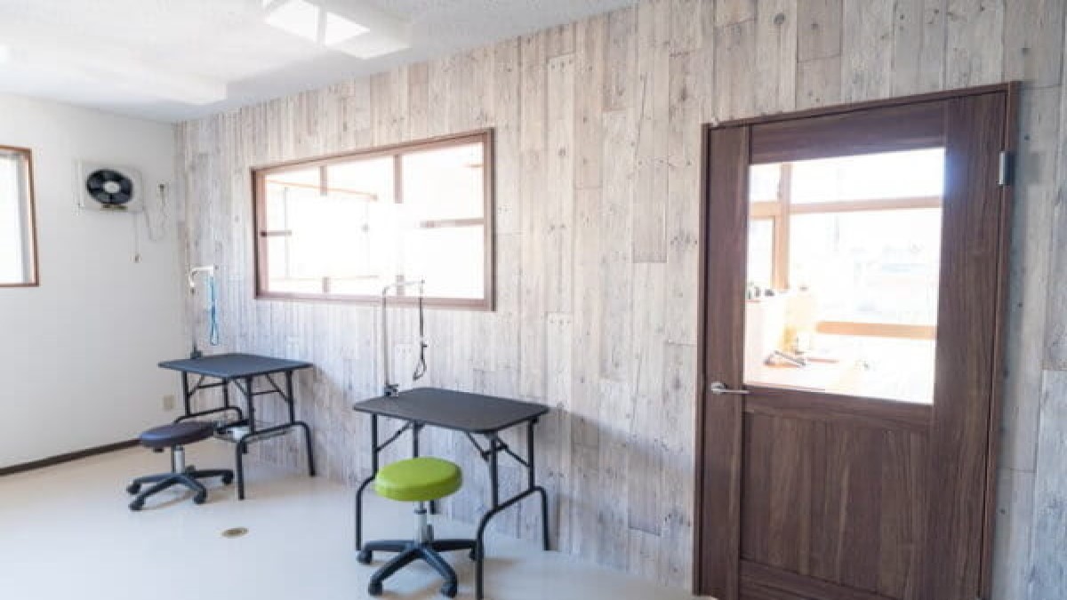 dog grooming salon CAFUNE