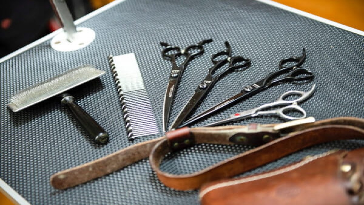 Grooming Salon OK【出張専門】