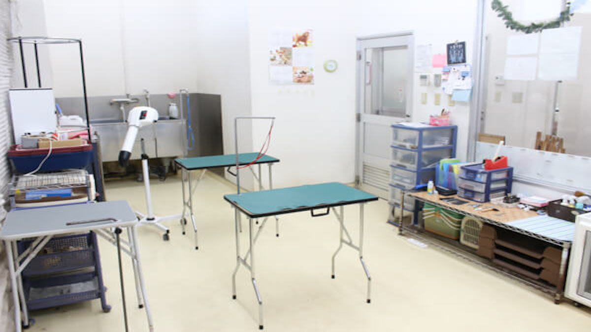 ペットアミ新津店
