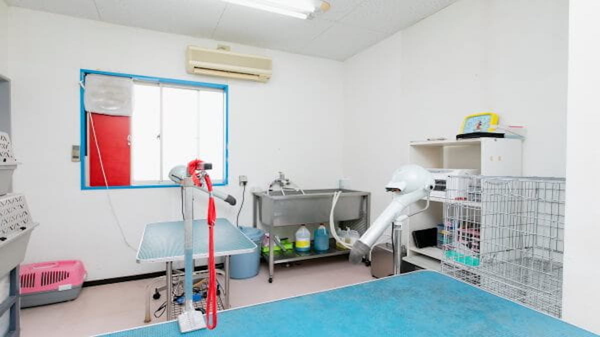 Grooming Salon vivi