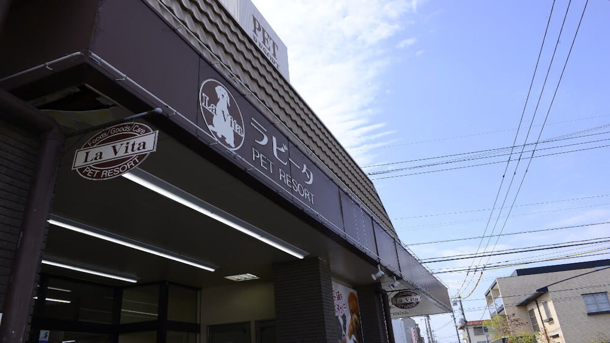 ペットショップ ラビータ 東古松店