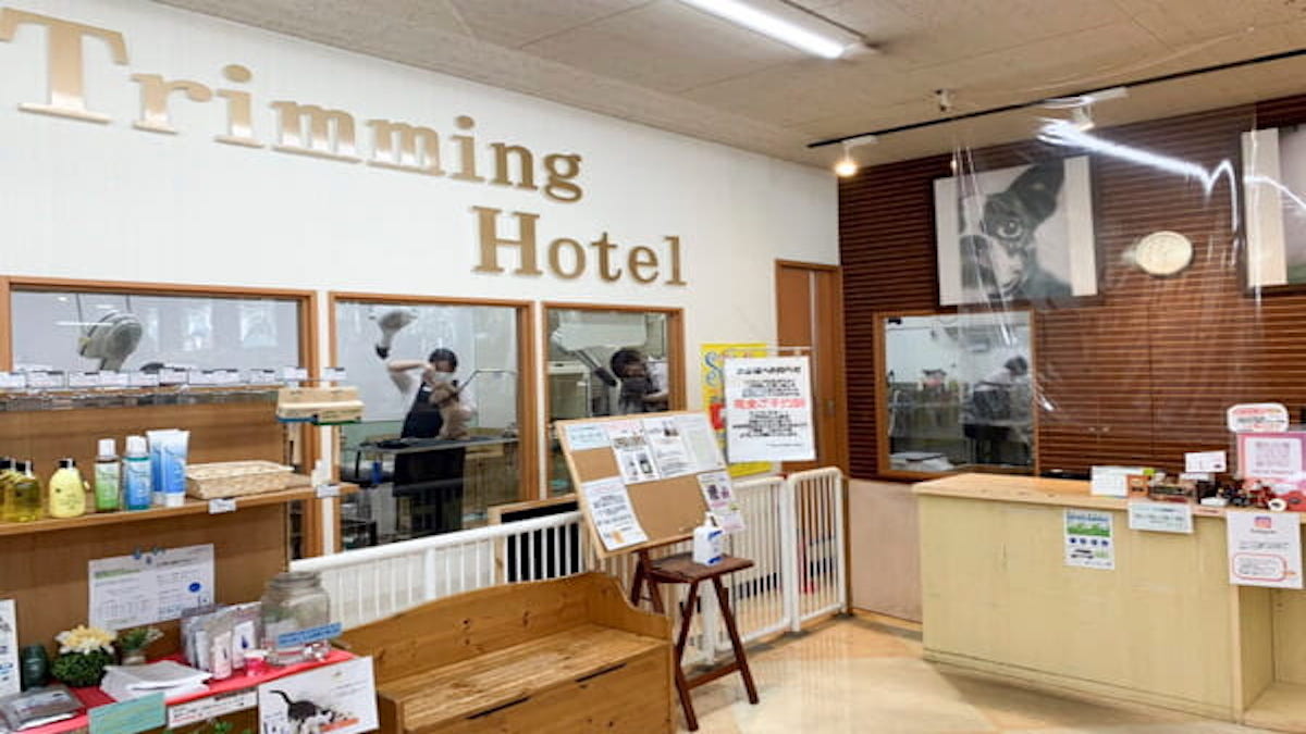 ペットショップ ラビータ 東古松店