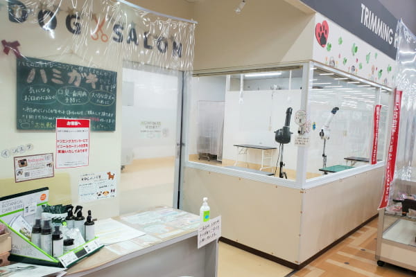空港ドッグセンター 寝屋川店 人物
