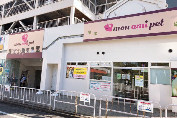 monami pet