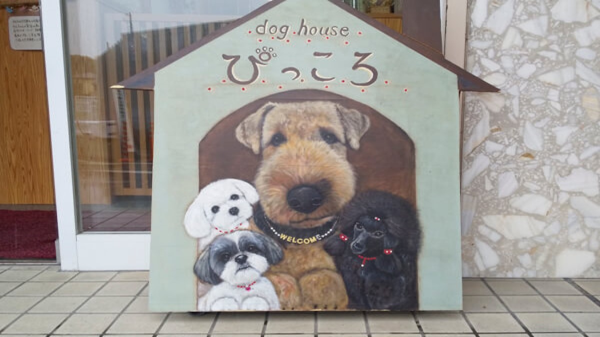 dog houseぴっころ 川西店