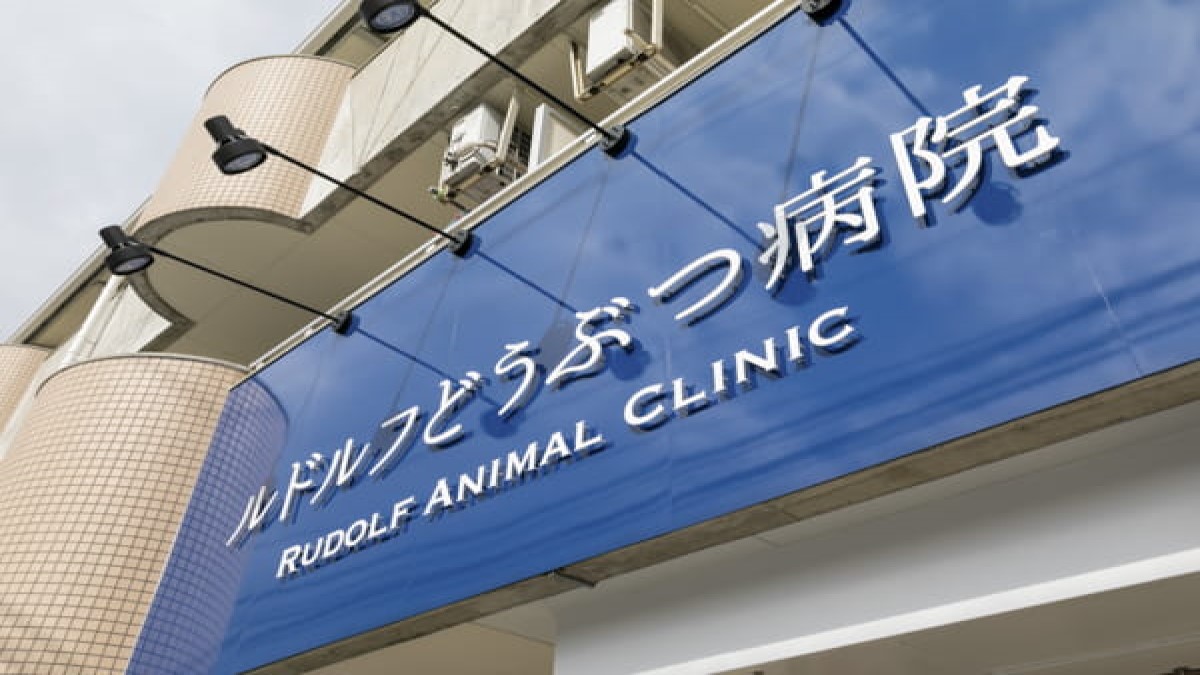 ルドルフどうぶつ病院