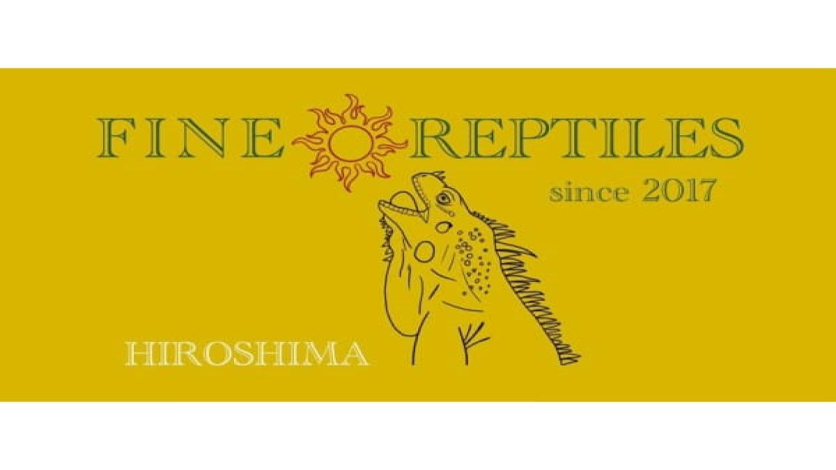 FINEREPTILES