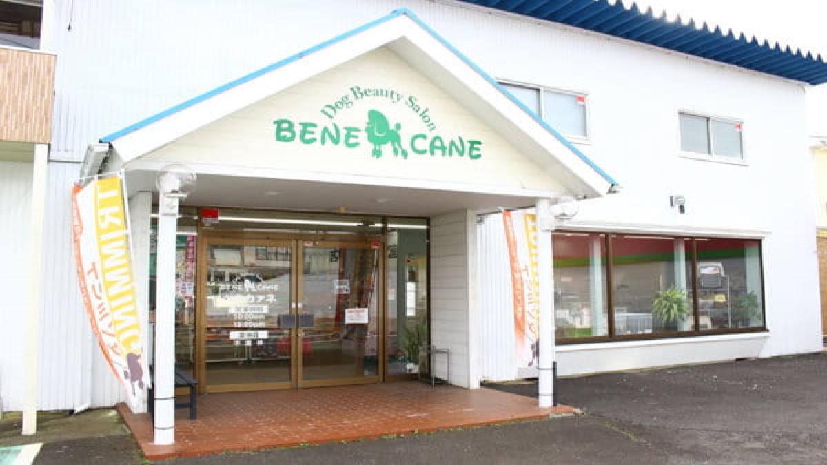 BENECANE 山際店