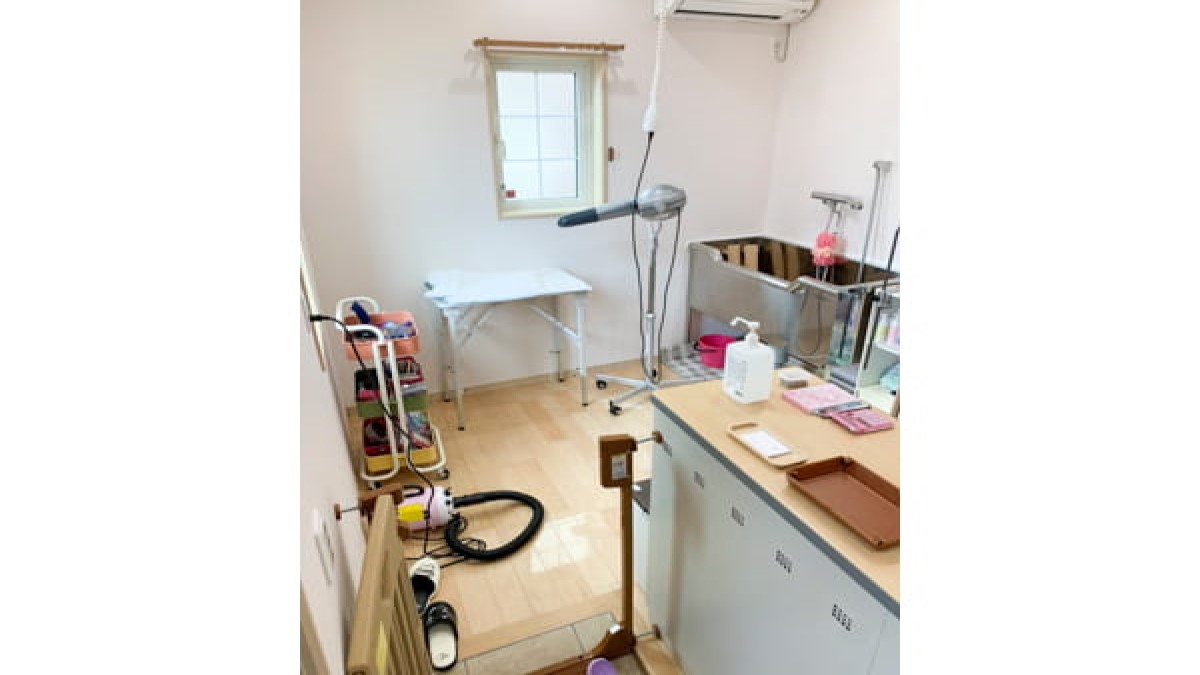 Dog salon プレシャス