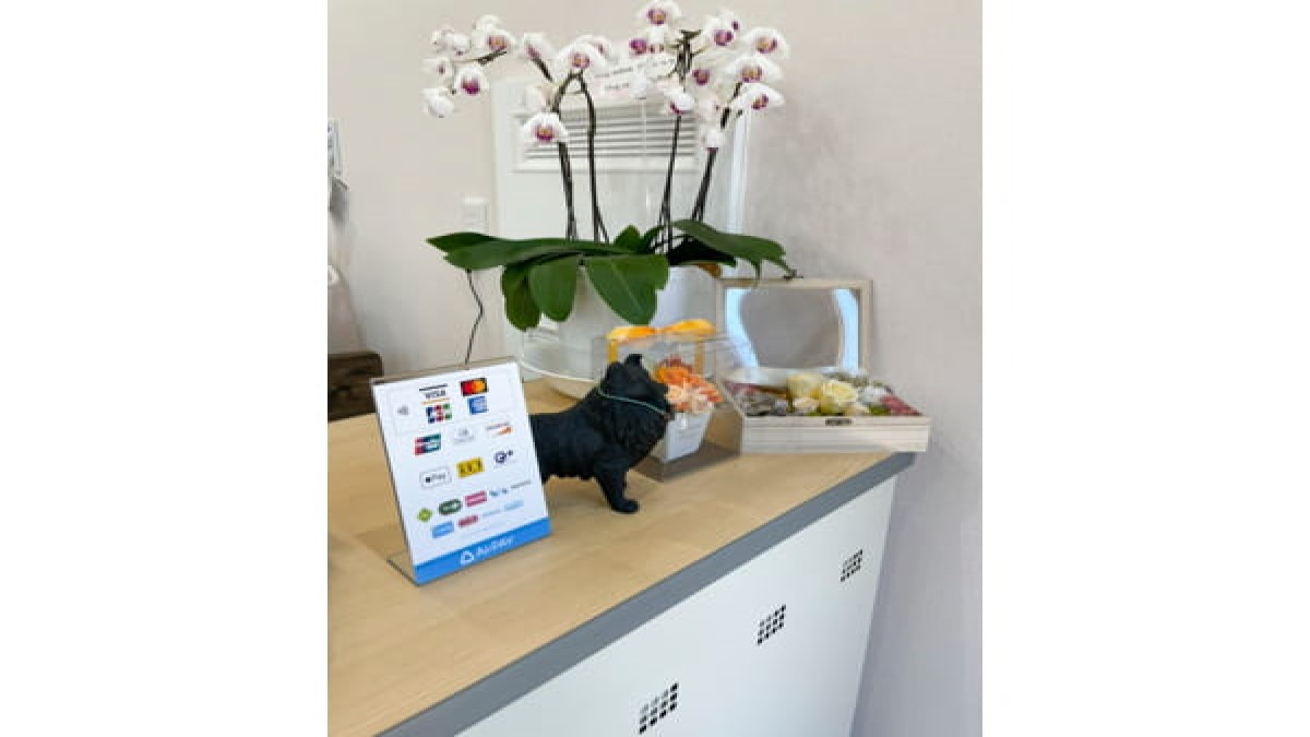 Dog salon プレシャス
