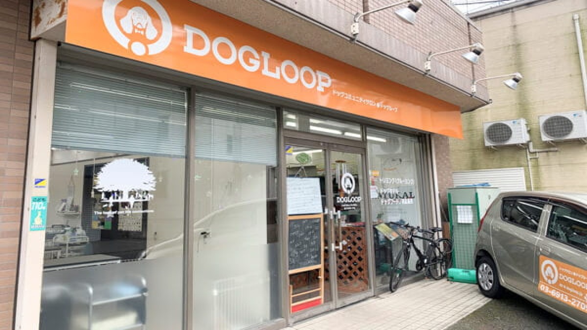 石神井公園駅周辺のトリミング ペットサロン おすすめしたい2店 Petpet Life