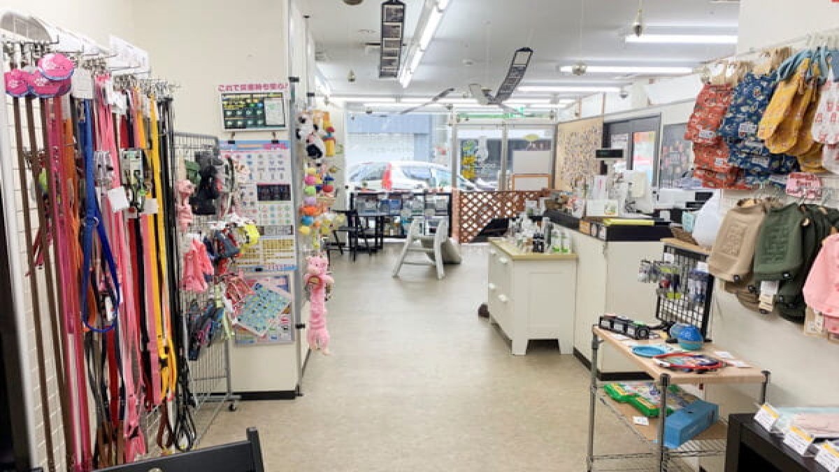 石神井公園駅周辺のトリミング ペットサロン おすすめしたい2店 Petpet Life