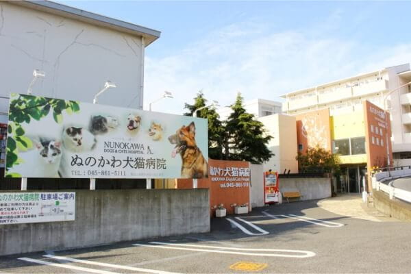 ぬのかわ犬猫病院 戸塚本院
