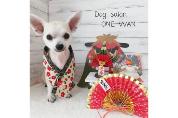 Dog Salon ONE WAN