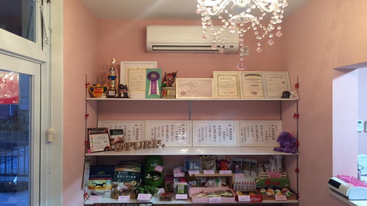 Pet salon PURIL
