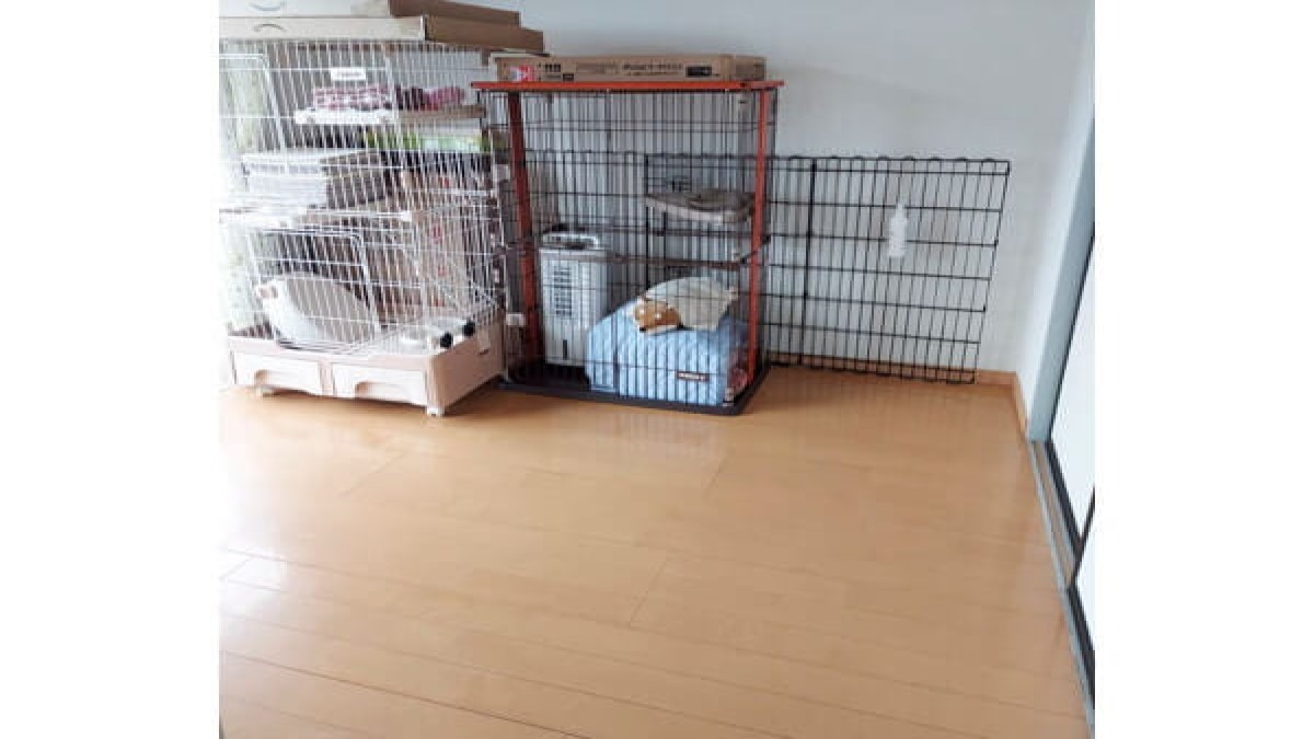 ちゃる・る倶楽部