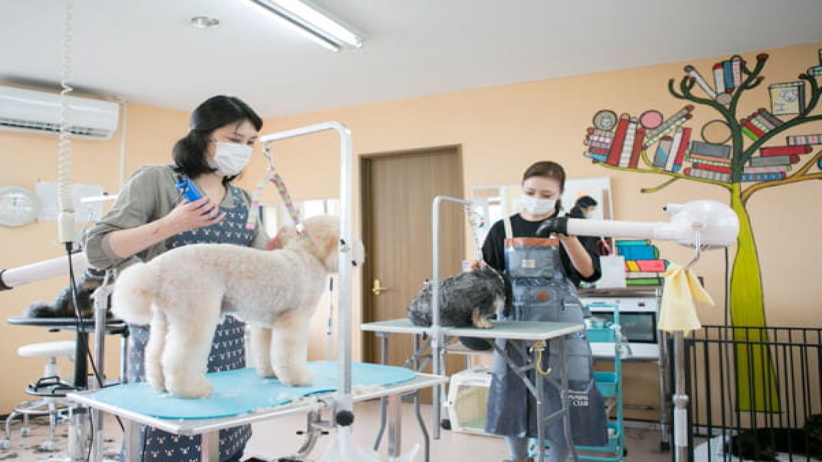 ペットサロン perro&gato 上杉店