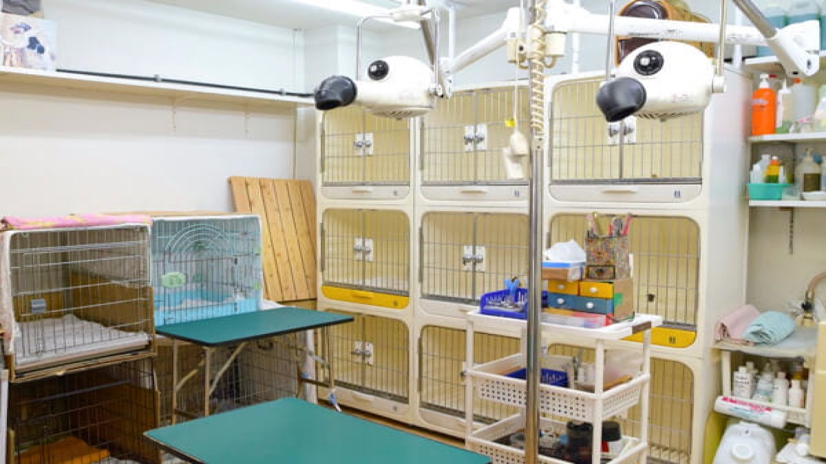 犬猫の店ぱろ
