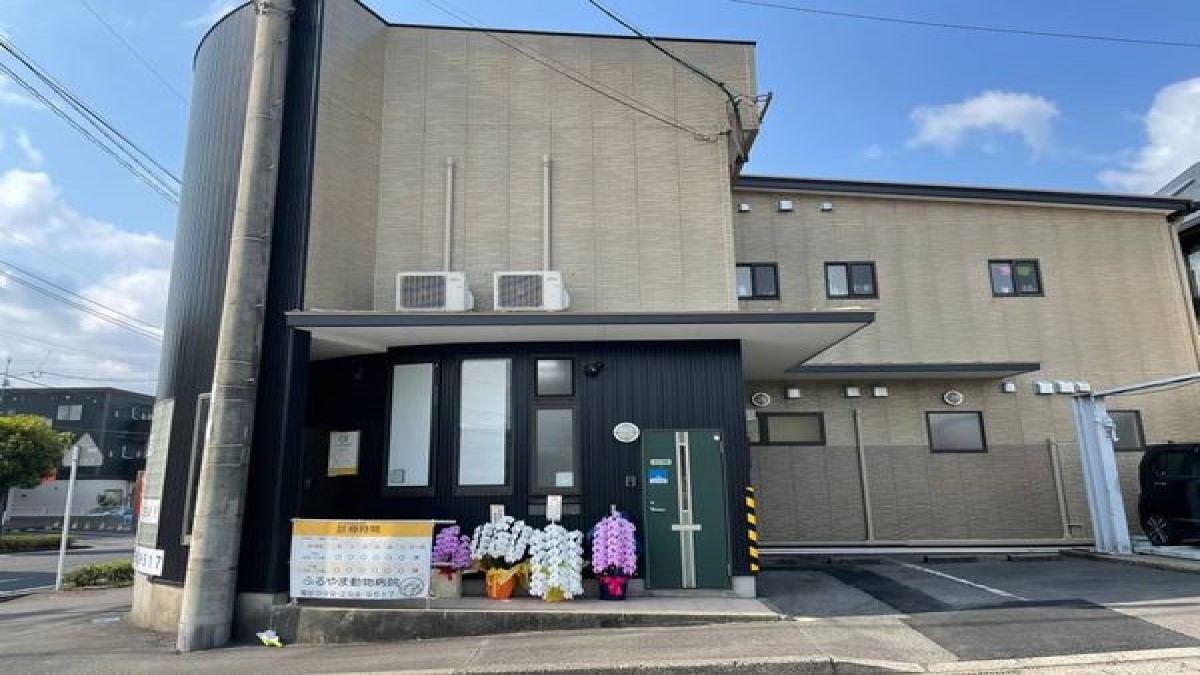 ふるやま動物病院