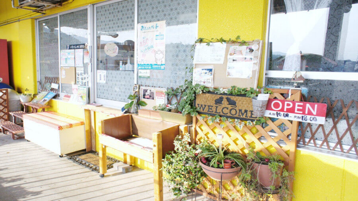 わんわんわん ダイレックス日ノ隈店