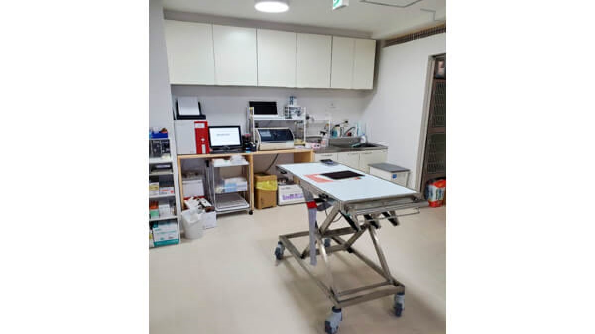 桑園動物病院