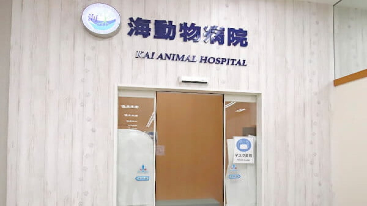 海 動物病院　静岡SBS通り医院