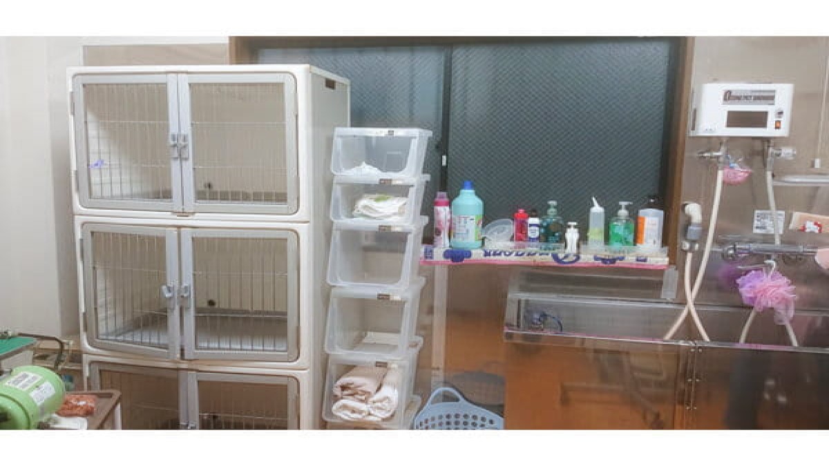 ドッグサロン ジャスミン
