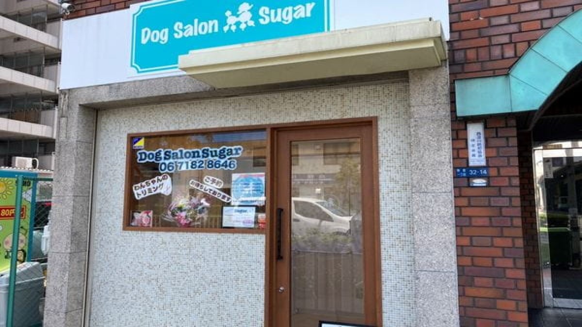 Dog Salon Sugar