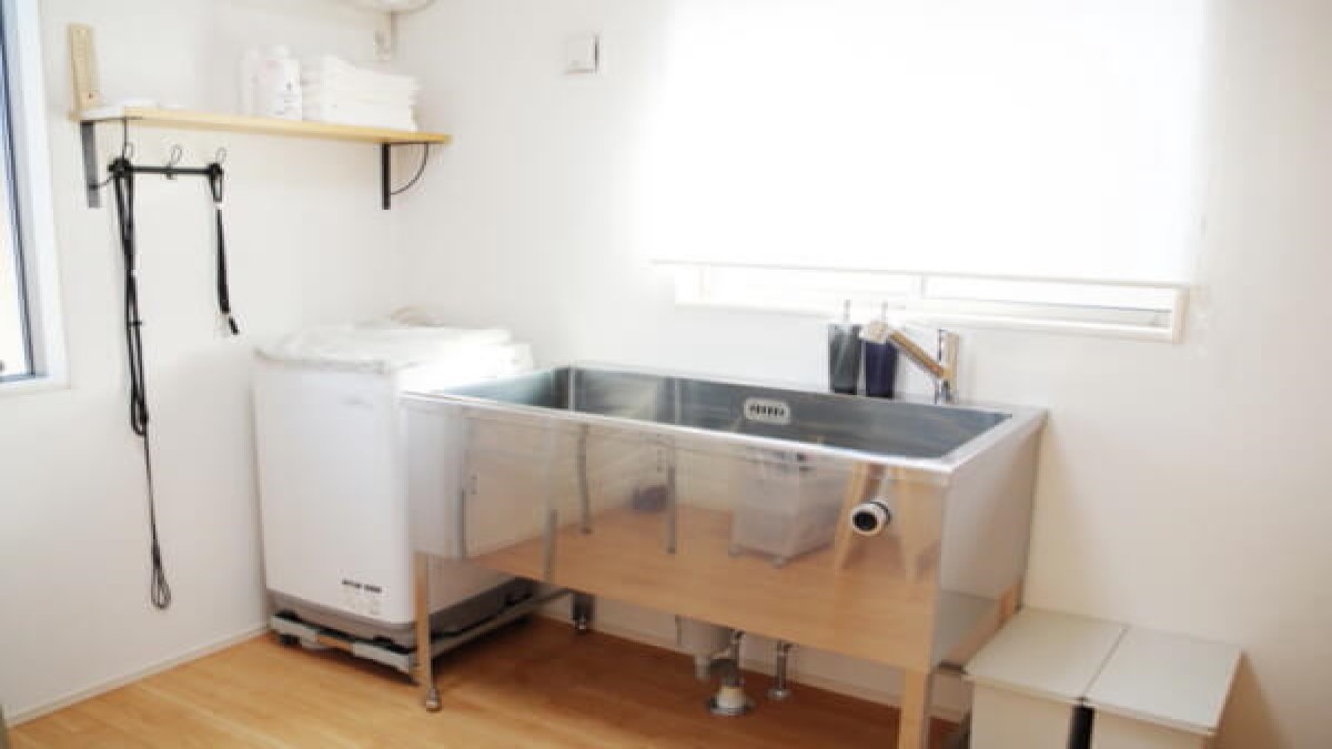 trimming space noix